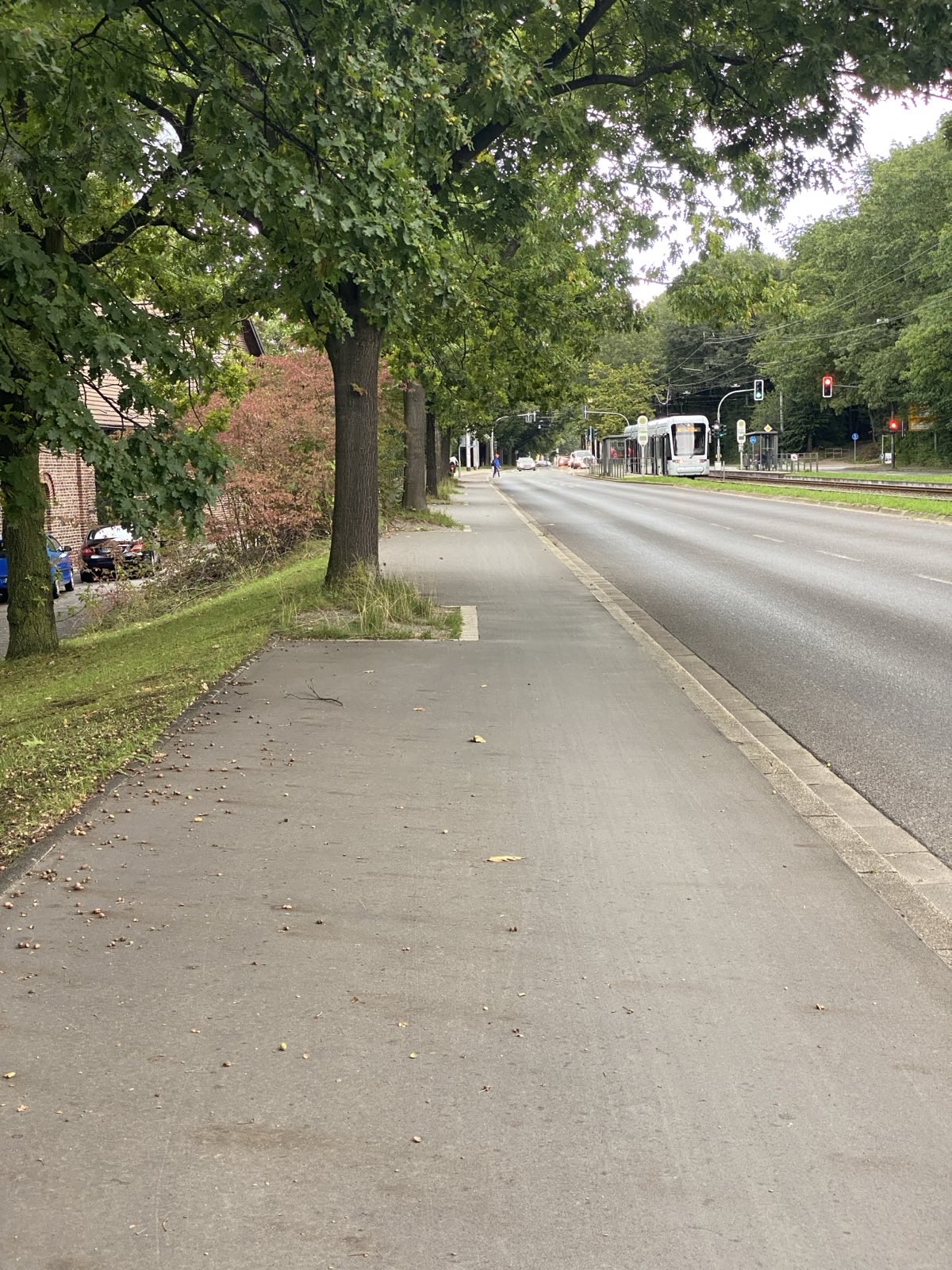Radunfall an Engstelle der Wittener Straße – Radwende sprach mit der betroffenen Radfahrerin